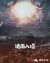 镜面入侵章节列表