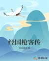 经国枪客传章节列表