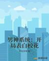 男神系统：开局表白校花章节列表