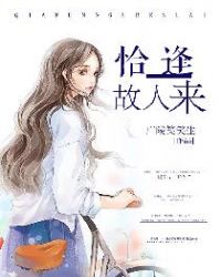 恰逢故人来章节列表