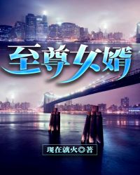 至尊女婿章节列表