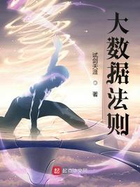 大数据法则章节列表