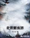北宋新水浒章节列表