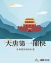 大唐第一捕快章节列表