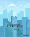 白衣夜行章节列表