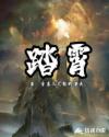 踏霄章节列表
