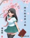 阿兵的奇妙之旅章节列表