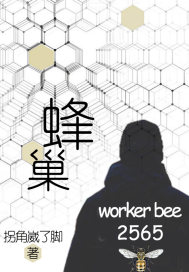 蜂巢WB2565章节列表