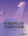 哈利波特之冈特家族的荣耀章节列表