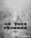 红楼：穿越之保护各位姐姐妹妹章节列表