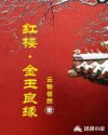 红楼：金玉良缘章节列表
