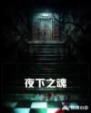 夜下之魂章节列表