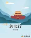 剑北行章节列表