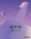 诗中诗章节列表