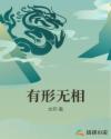 有形无相章节列表