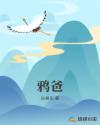 鸦爸章节列表