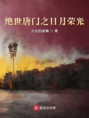 绝世唐门之日月荣光章节列表