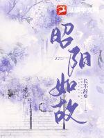 昭阳如故章节列表
