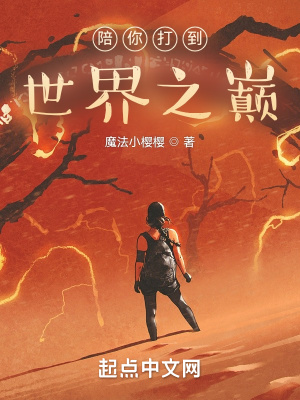 陪你打到世界之巅章节列表