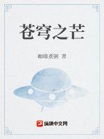 苍穹之芒章节列表