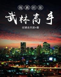 我真的是武林高手章节列表