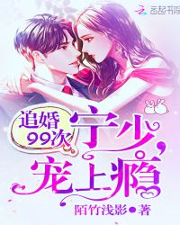 追婚99次：宁少，宠上瘾章节列表