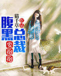 腹黑总裁要抱抱章节列表