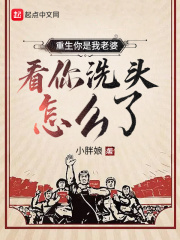 重生你是我老婆，看你洗头怎么了章节列表