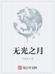 无光之月章节列表