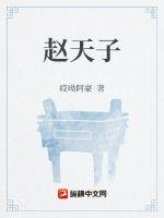赵天子章节列表
