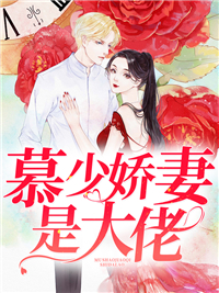 夏安心慕北宸章节列表