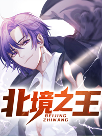 北境之王凌皓秦雨欣章节列表