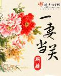 一妻当关章节列表