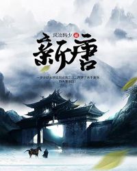 新唐章节列表