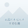 李辰安钟离若水章节列表