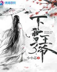 下雪了，王爷章节列表