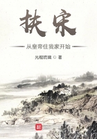 扶宋从皇帝住我家开始章节列表