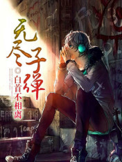 无尽子弹章节列表