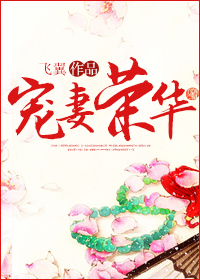 宠妻荣华章节列表