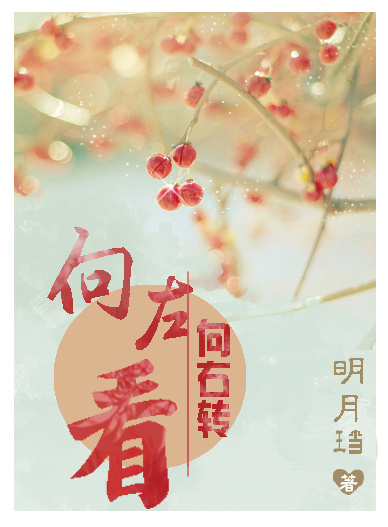 向左看，向右转章节列表