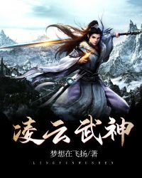凌云武神章节列表