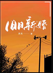 限定婚约章节列表