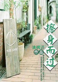 擦身而过章节列表