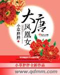 大唐凤凰女章节列表