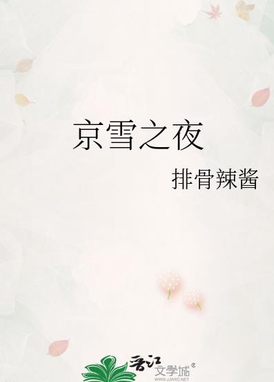 京雪之夜章节列表