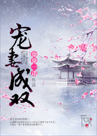 宠妻成双章节列表