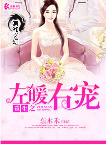 重生之左暖右爱章节列表