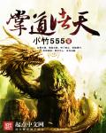 掌道诸天章节列表