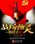 抗日之战场幽灵章节列表