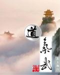 道气武章节列表